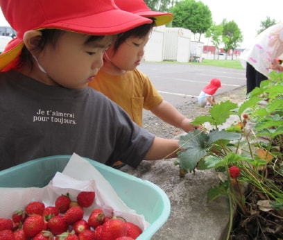 園児たちの様子